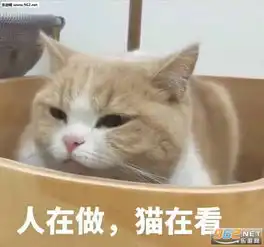 我亲爱的走狗表情包图片别碰我天线表情包下载乐游网游戏下载
