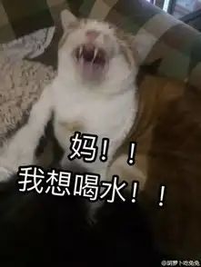 当你妈微信经常不理你时,你可以发一发这个
