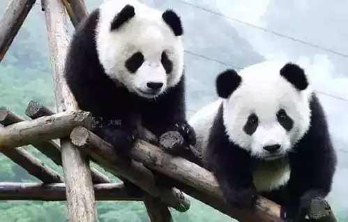 西安附近一个不起眼的小县城,貌美如斯,呆上一整年都不嫌腻
