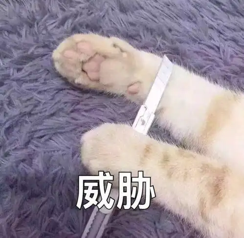 微信推2020年最佳更新网友终于能眼不见为净了
