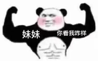 熊猫头表情包3.13
