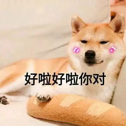 傻狗表情包什么意思航空公司