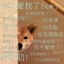 狗狗头像
