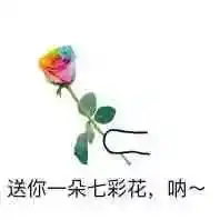如何用低成本培养一个斜杠青年

