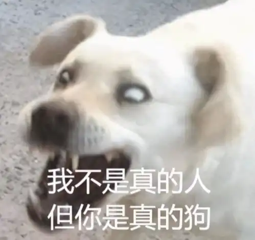 一点都不下饭的美食片,居然这么上头
