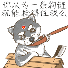微信表情红花狗
