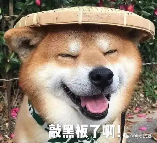 傻狗表情包什么意思微笑狗