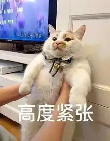 上帝最近缺宠物了,把俊介和楼楼都带走了
