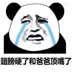 爸爸系列斗图表情包翅膀硬了,和爸爸顶嘴了
