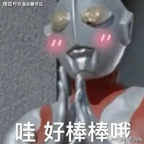 2020年成都小学划片信息最全汇总

