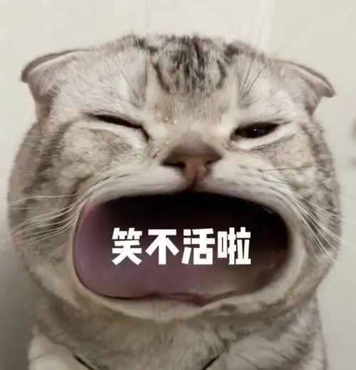 笑话十条昨晚睡的有点晚,期间媳妇睡觉都笑出声来了

