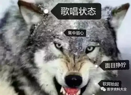 如何用表情包自黑你的专业不知道该心疼谁
