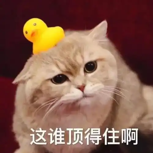 沙雕表情包生活已经容不下我了

