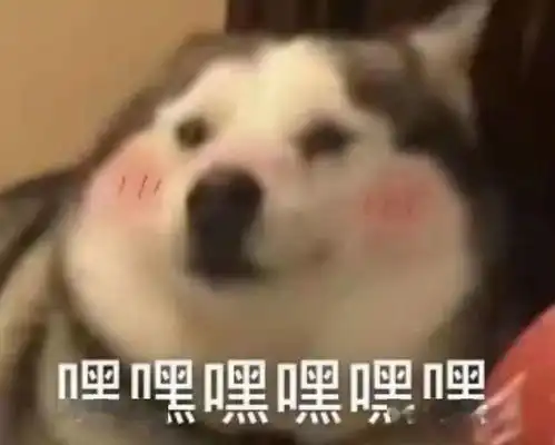 我该吃什么药
