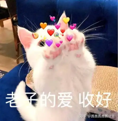 学习文案,即使是从小白做起,如果掌握了一些技巧,也可以有不错的发展
