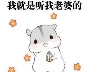 太想跳舞怎么办湖南农村一夫妻自费18万修广场

