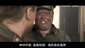爱尔兰维和部队遭雇佣兵包围狙击手小哥大显身手雅多维尔围城战
