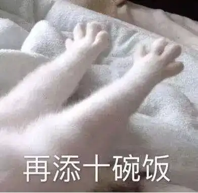 西雅图安检大叔拿着电棍问我这些白花花的粉末是什么...论行李箱中你最后悔从中国带去的东西是
