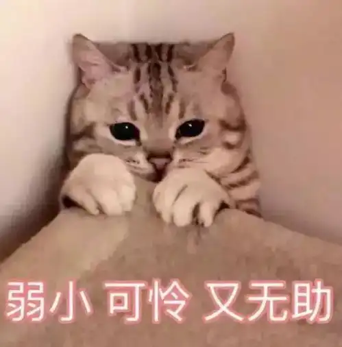 为了骗我家里穷,那些年爸妈撒过的谎,太好笑了
