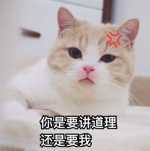 考研复试调剂大洗牌一个地方二本院校的招生奋斗史
