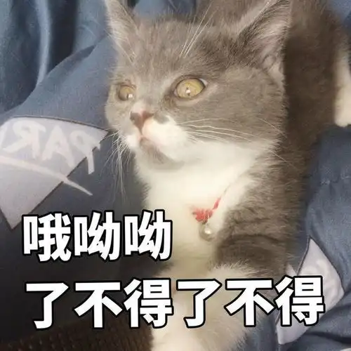 英雄联盟又出新射手英雄带控制又有净化效果,网友神似寒冰
