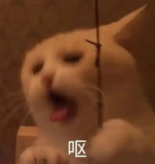 你几岁了怎么不早点穿呢,以后都不许给我脱下
