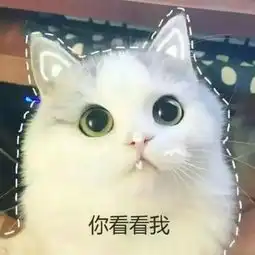 98年属虎的男生,96年属鼠的女生,婚姻适合在一起吗以后财运怎么样
