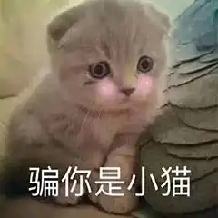 下水道女孩的新宠据说是2017护肤界的黑马,能秒杀cpblamer...
