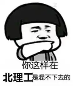 对方不想说话,只丢给你一个北理表情包
