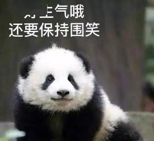 又新增30,超市限购ngv文化场馆明日重启这么多好玩的,仅限网上预订......
