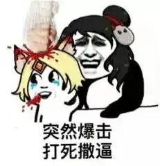 突然暴击,打死撒逼
