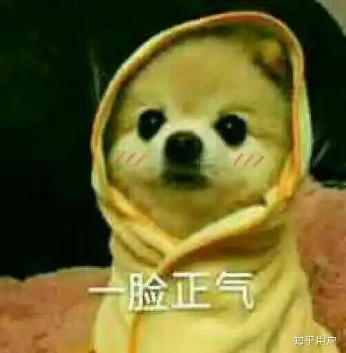 狗头人表情包动图巴掌