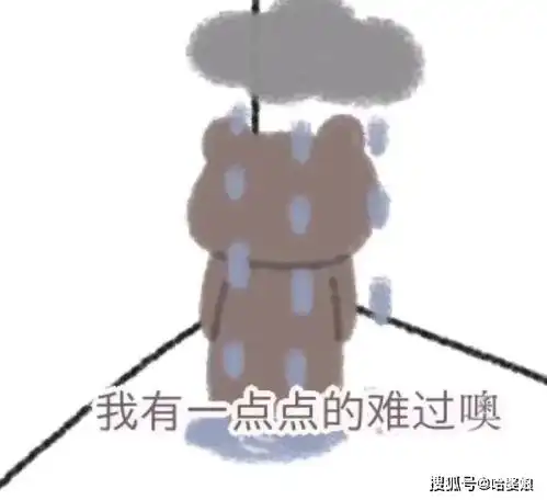 超可爱小熊系列表情包赶快码住
