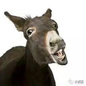 搜狐网
