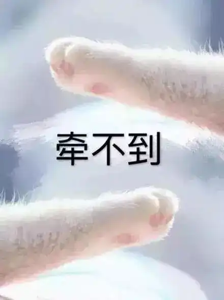 我这一爪下去,你可能会...被萌到
