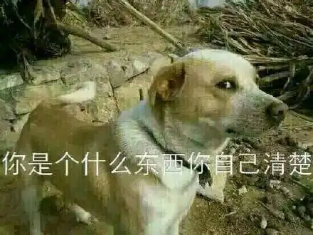 一组还算可爱的表情图狗子,你变了,嗯嗯然后呢
