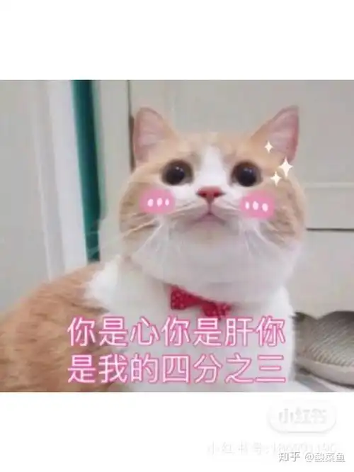 脱单攻略之北京欢乐谷
