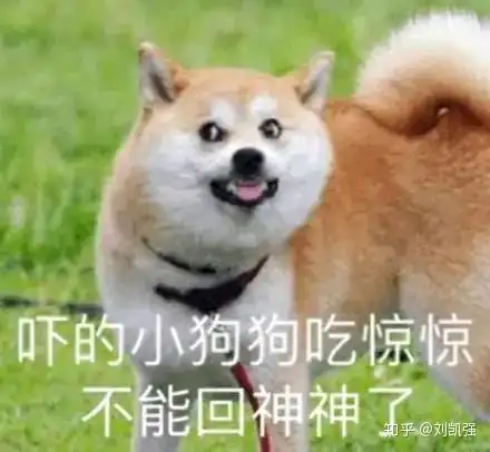 想当研究生,必须得会这个如何做好学术研究
