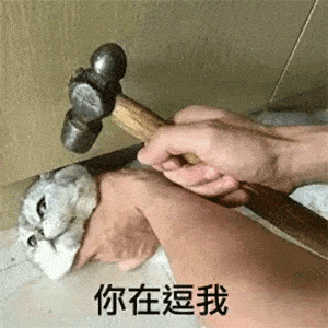表情包谁会嫌多啊还是这么沙雕的

