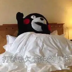 你的一天从什么时间开始
