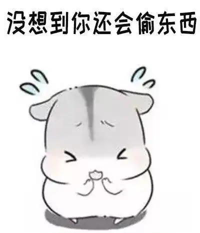 仓鼠表情包合集我们的友谊走到尽头啦,哼
