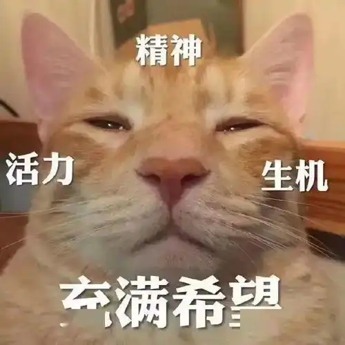 王守义说13香丨第202期喵表情
