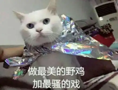 高中时代喜欢的人最后在一起了吗
