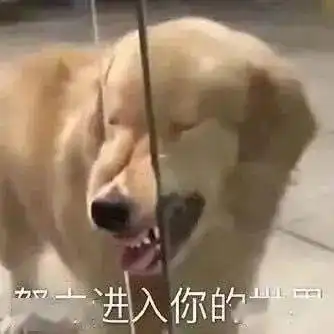 你的表情包该更新啦这50个沙雕又上头的表情包,拿去用
