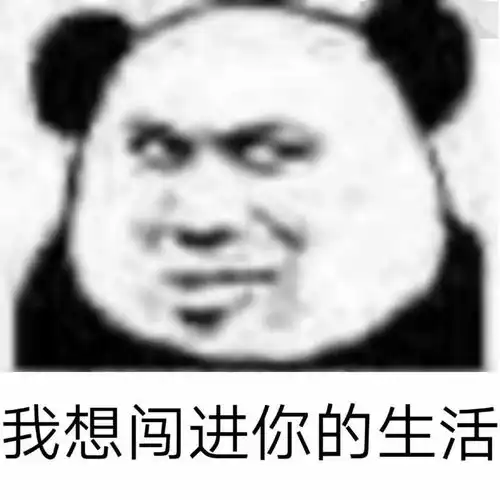 熊猫头表情包i狮子不跟狗玩这是规矩
