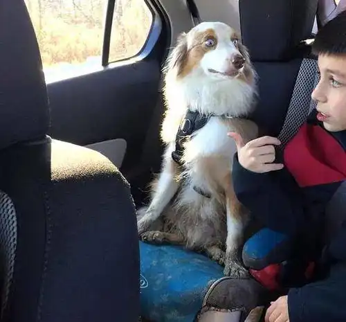 生活终于要对我这样的小可爱动手了吗