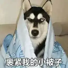 裹头巾的表情包