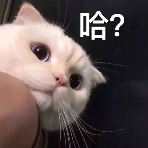 1231热门表情包今年最后一次表情包,新年快乐
