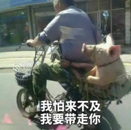 30张可以斗图的无水印表情包,光看看就够搞笑了
