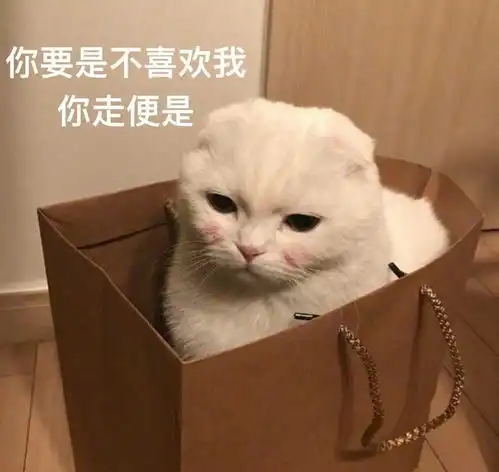 这颗小心心,你要不要知乎
